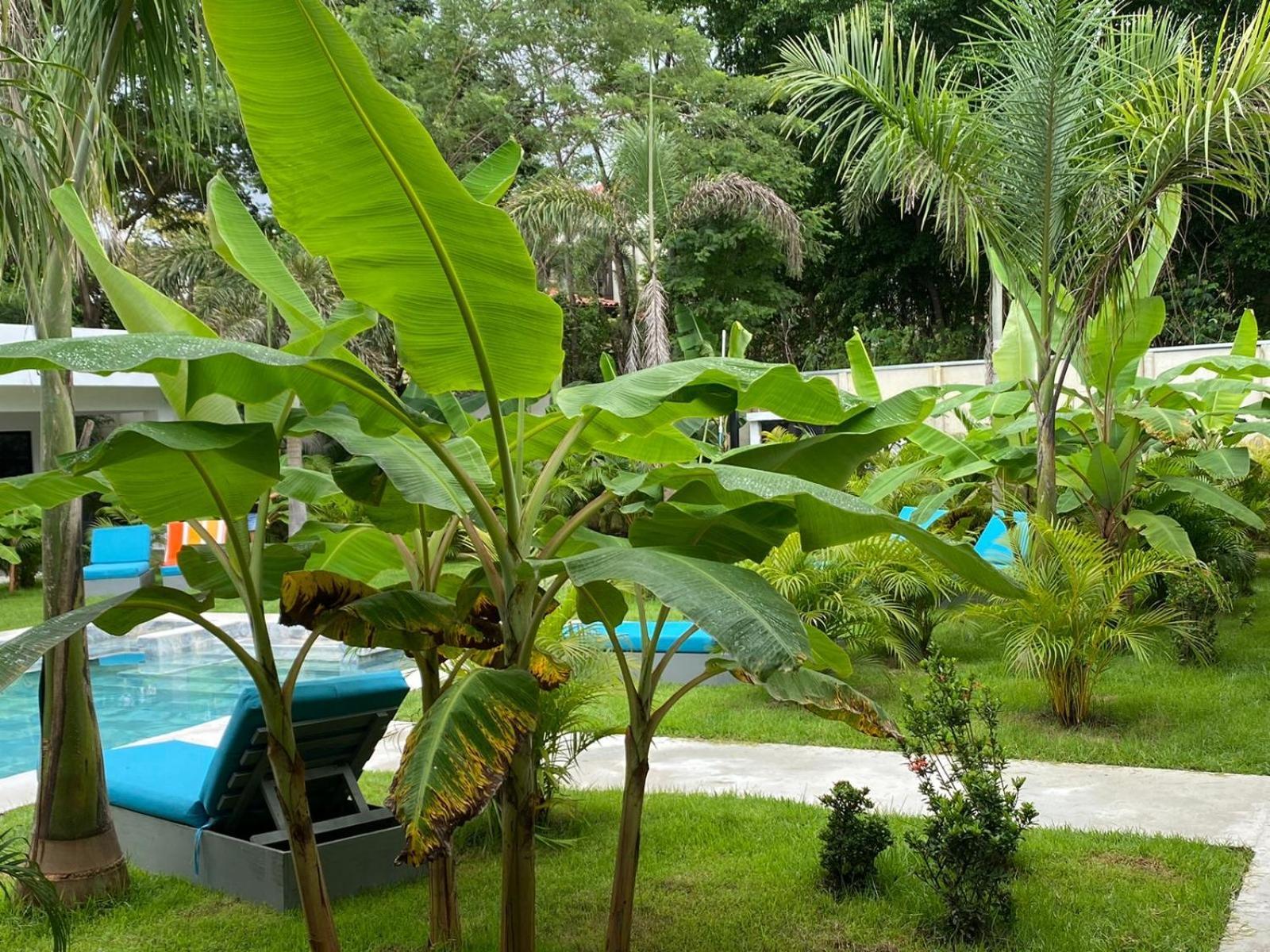 Hotel Good Life Coco Esterno foto